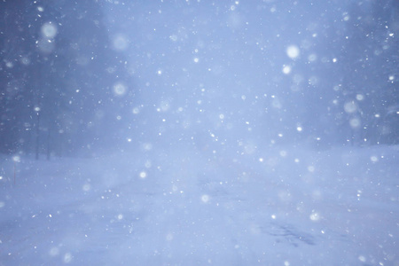 冬日的雪与雾, 冬日寂寞的风景