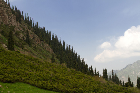 山风景