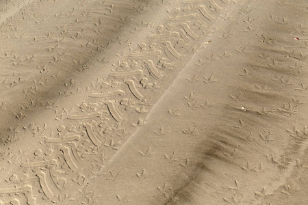 沙子中的许多痕迹
