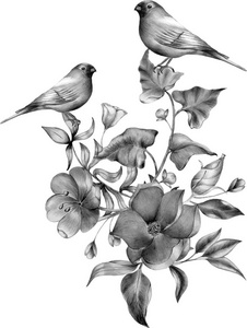 单色花束与鸟。线条图, 墨迹绘图