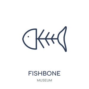 鱼骨图标。从博物馆收藏的鱼骨线性符号设计。简单的大纲元素向量例证在白色背景