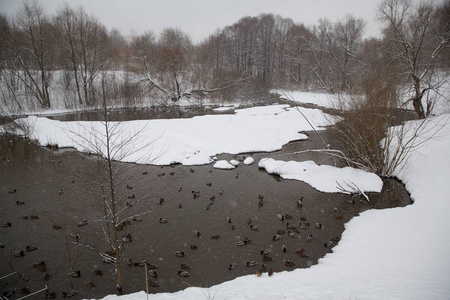 城市里的降雪。城市公园里有野鸭的白雪覆盖的池塘