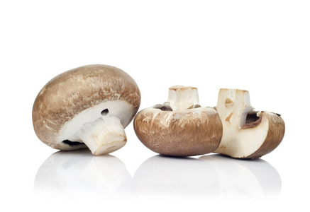 孤立在白色背景上的鲜蘑菇菇