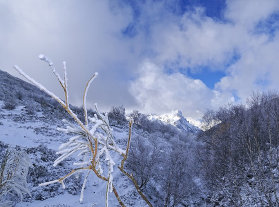 雪山景观