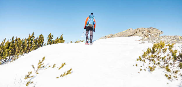 登山运动员在雪地鞋背着一个背包。在冬天的山上旅行。大自然中的极端假期