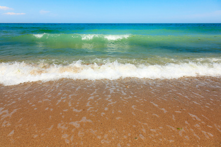 在他海滩海浪