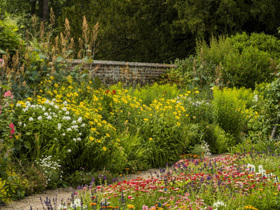 英国乡村小屋花园, 鲜花庄严的家