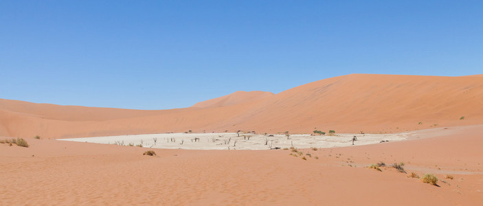 查看与著名红色的纳米布沙漠的沙丘 deadvlei