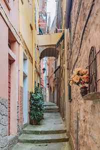 街道和五颜六色的房子在拉, 五渔村, 意大利的村庄
