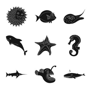 海洋和动物符号的孤立对象。海洋和海洋股票符号收集网