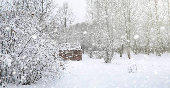 雪下的冬季公园。城市公园的暴风雪。公园 f