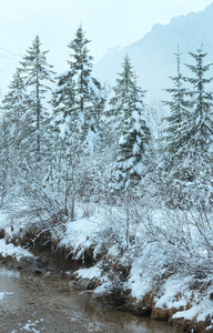 小冬天流与雪树