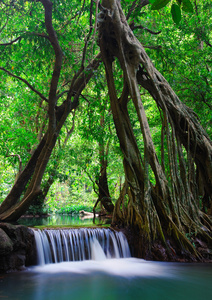 甲米，泰国的深林瀑布