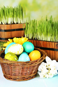 复活节彩蛋篮子和绿草特写