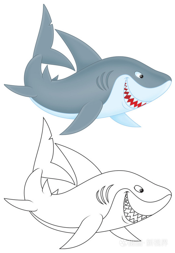 鲨鱼, 彩色和黑白插图在白色背景上