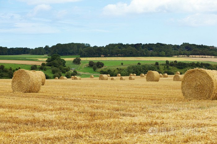 美丽风景的金色田野在诺曼底，法国