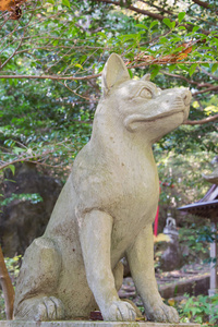 卫报  狼的灶山神社，寄居，埼玉县，日本