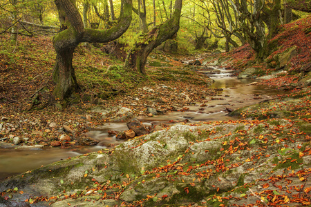 深秋的山区河流