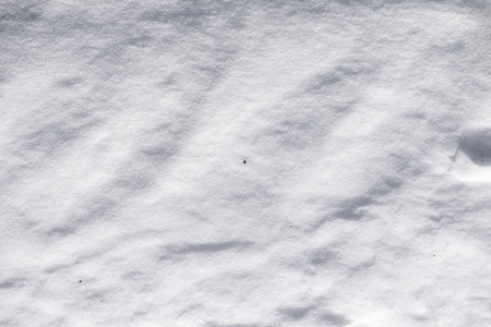 干净的白色雪背景