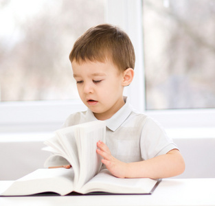 小男孩正在读的书