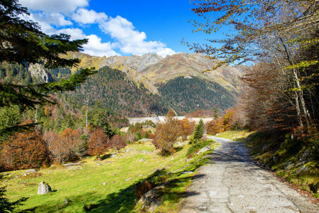 与多彩森林山秋天风景图片