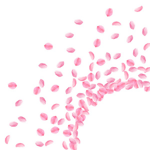 樱花花瓣落下。浪漫的粉红色明亮的中等花朵。厚飞的樱瓣。辐射