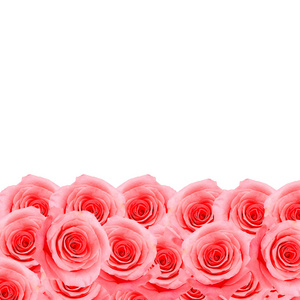 粉红色的玫瑰花纹图案图片