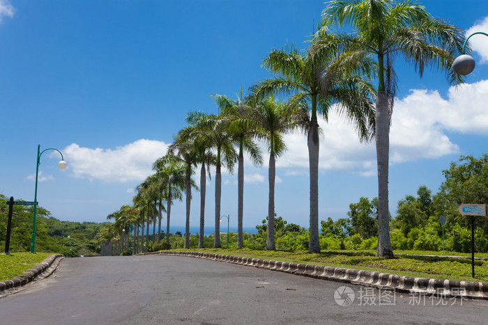 道路和棕榈树