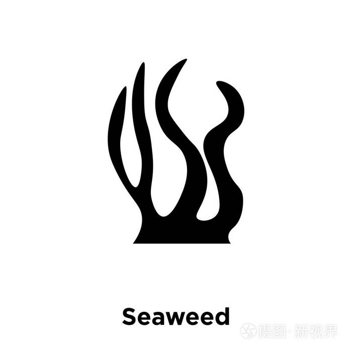 海藻图标矢量在白色背景下分离 标志性海藻标志概念在透明背景下 充满黑色符号插画 正版商用图片0au07g 摄图新视界