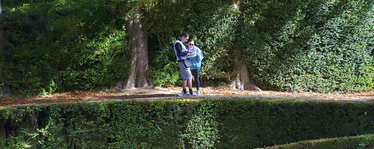 他们应该去哪里的几个复选照片