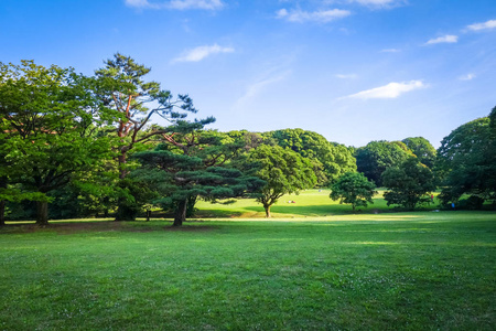 日本东京涉谷代代木公园花园图片