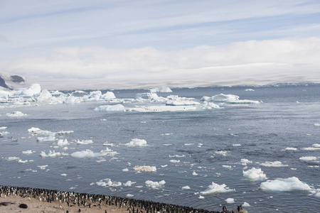 南极景观与冰山在一个晴朗的夏天天