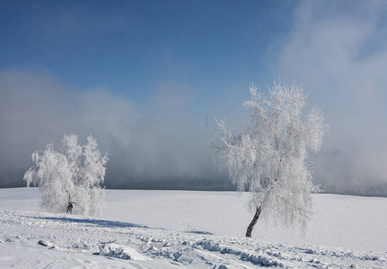安加拉河河的海岸在伊尔库茨克的冬天