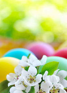 复活节彩蛋与白色的花