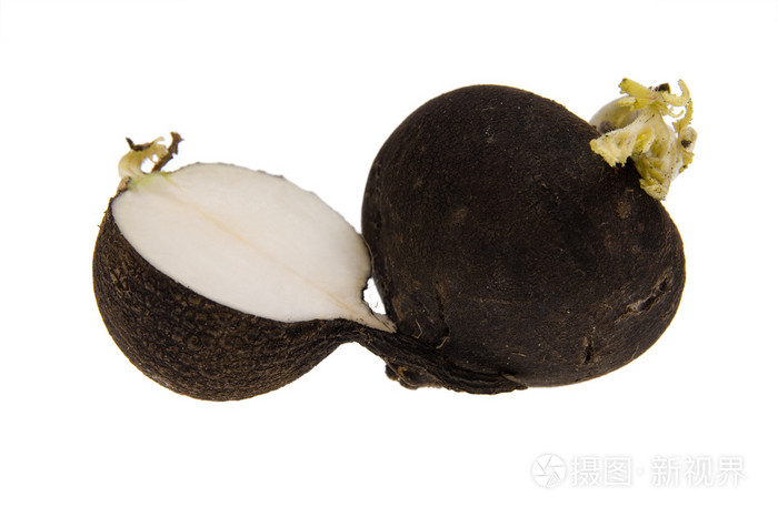 黑萝卜照片-正版商用图片0aurge-摄图新视界