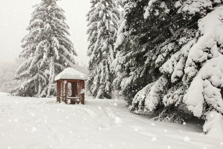 在雪地中冬季森林树木