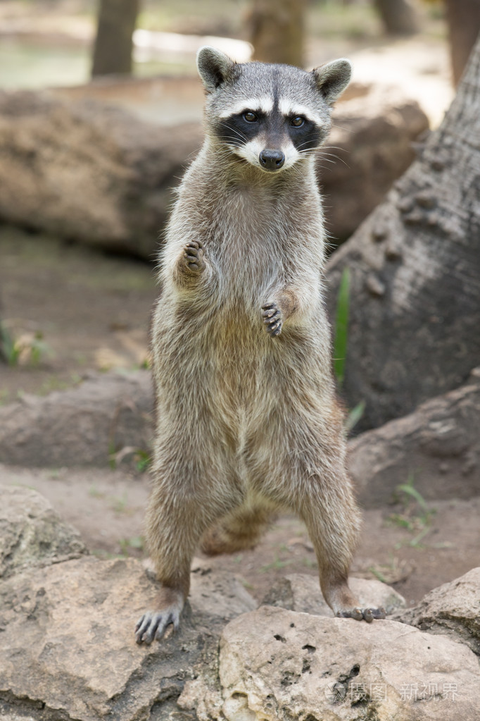 jpg 更新时间:2020-01-09 21:00:17