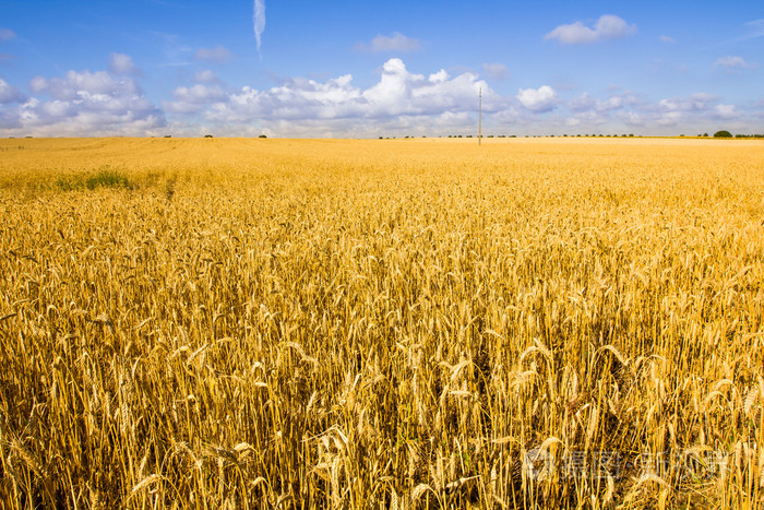 限制暂无图片作者1shostak新媒体授权标准授权扩展授权如何选择jpg大