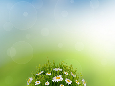 绿草与雏菊花 自然夏天或春天背景