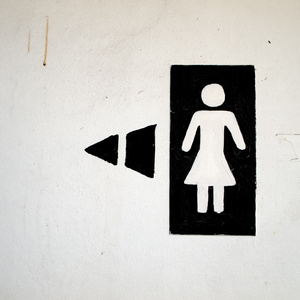 黑人和白人女子厕所标志