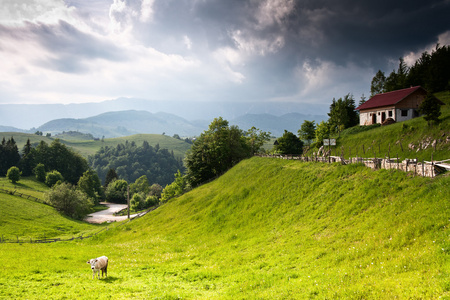 来自罗马尼亚的美丽乡村景观图片