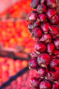 红洋葱在新鲜农产品市场图片