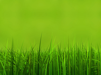 绿色 清新 自然的草