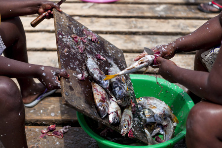 鱼的清洁。非洲妇女用小刀在岸上清洁。图片系列