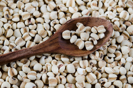 赤小豆薏米图片