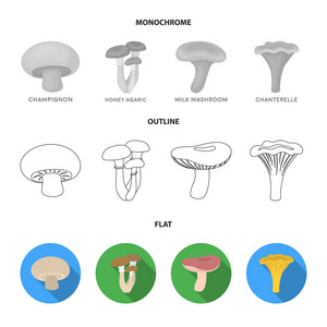 香菇, 亲爱的, 伞, 菇, 鸡油菌。设置集合图标在平面, 轮廓, 单色样式矢量符号股票插画网站