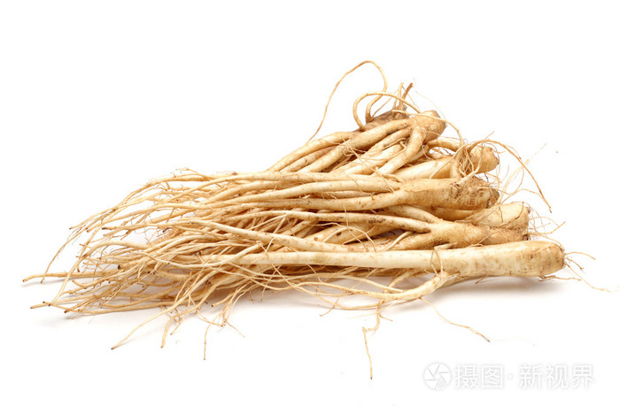 钟花 桔梗 照片 正版商用图片0aw7ls 摄图新视界 钟花 桔梗 照片 正版商用图片0aw7ls 摄图新视界