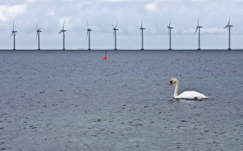海上风力发电在 oeresund 香奈儿哥本哈根2008