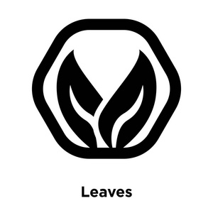 叶子图标向量在白色背景下被隔绝, 标志概念叶子标志在透明背景, 被填装的黑色标志