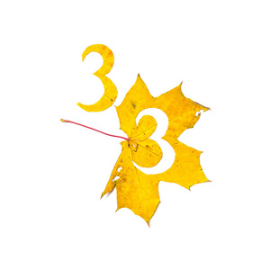 秋天的数字。数字3是从一个美丽的黄色枫叶在白色背景雕刻。在工作表上, 信函的字母模式